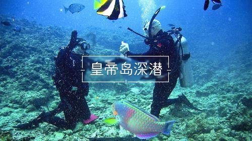 求精彩的经典历史架空小说，附作者。（除新宋，回明，宰执）忌爱情戏太多，金手指合理